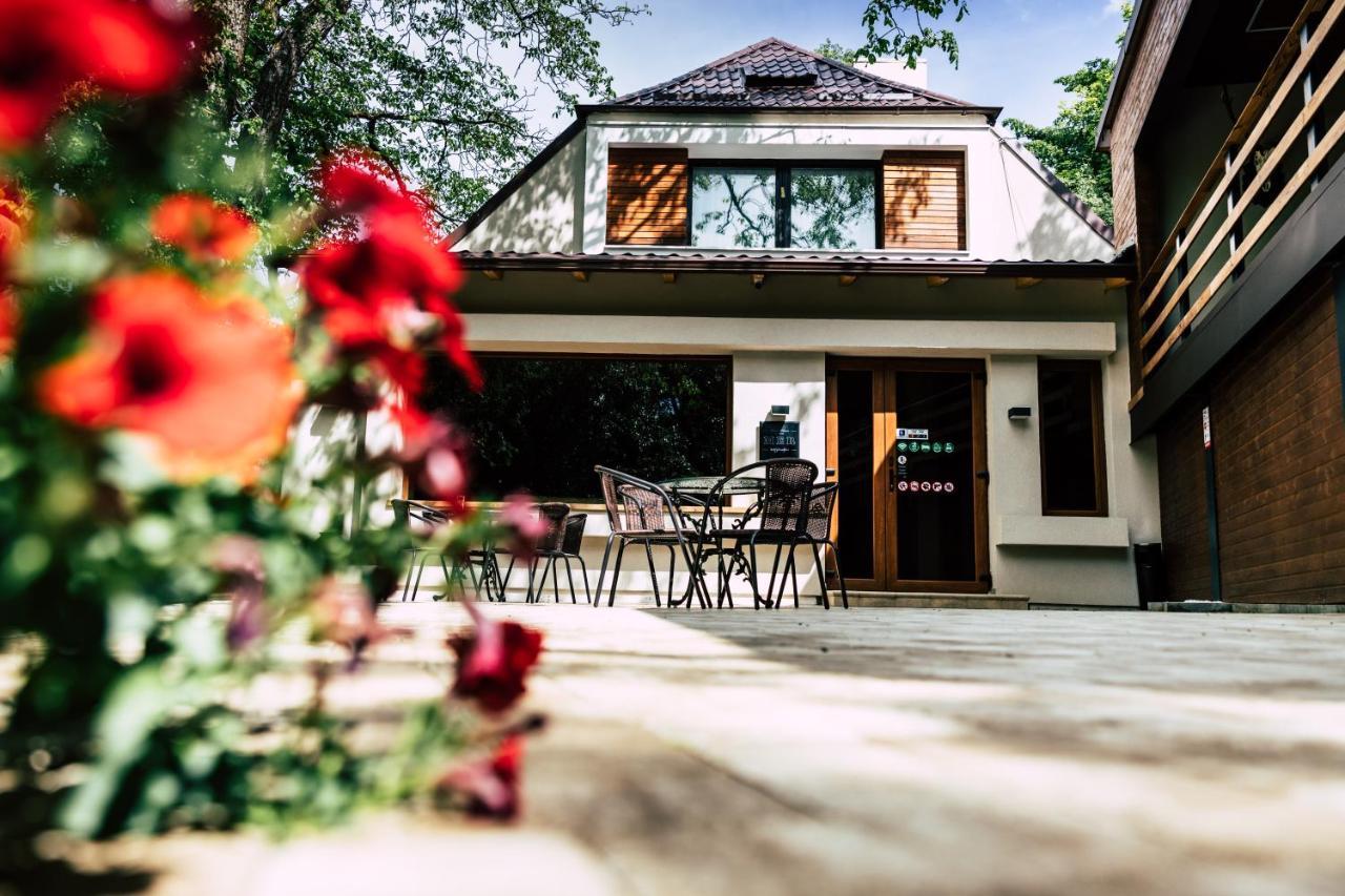 Mer Guest House B&B Брашов Экстерьер фото